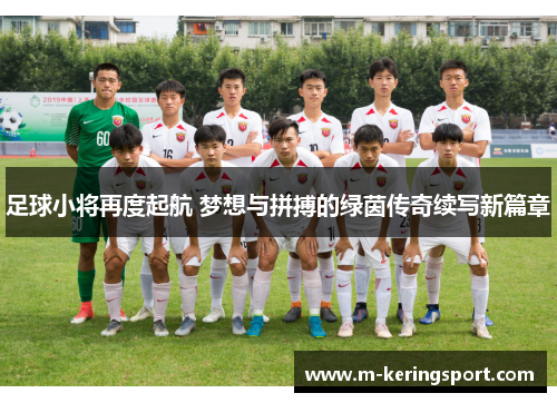 足球小将再度起航 梦想与拼搏的绿茵传奇续写新篇章